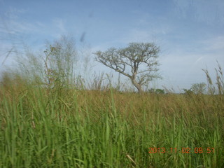 Uganda - drive to Murcheson Falls National Park - railroad tracks