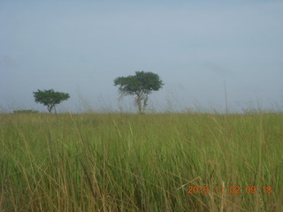 Uganda - drive to Murcheson Falls National Park