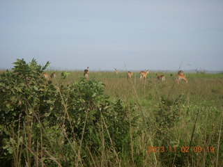 Uganda - drive to Murcheson Falls National Park