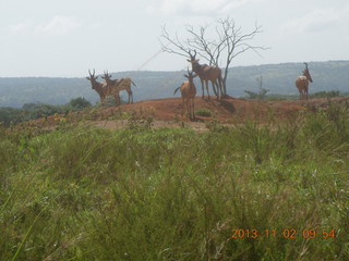 Uganda - drive to Murcheson Falls National Park