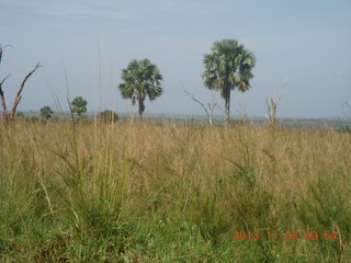 63 8f2. Uganda - drive to Murcheson Falls National Park