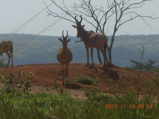 Uganda - drive to Murcheson Falls National Park