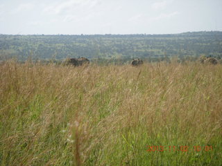 Uganda - drive to Murcheson Falls National Park