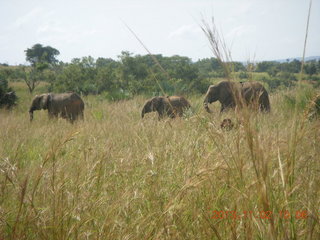 Uganda - drive to Murcheson Falls National Park