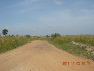 Uganda - drive to Murcheson Falls National Park - elephants