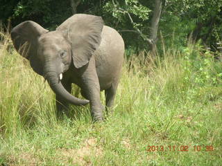 Uganda - drive to Murcheson Falls National Park