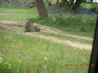 Uganda - drive to Murcheson Falls National Park