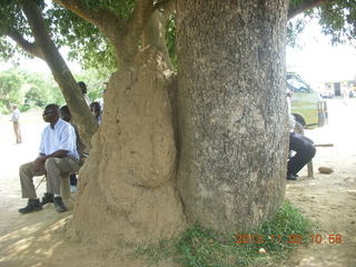 Uganda - Murcheson Falls National Park - termite mound