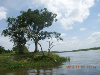 125 8f2. Uganda - Murcheson Falls National Park boat ride