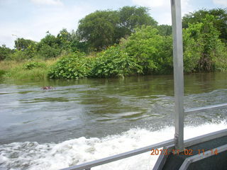 Uganda - Murcheson Falls National Park boat ride