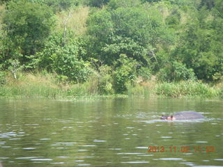 Uganda - Murcheson Falls National Park - termite mound