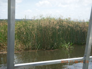 Uganda - Murcheson Falls National Park boat ride - bird