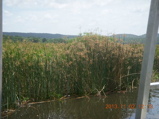 Uganda - Murcheson Falls National Park boat ride - bee killer bird in tree