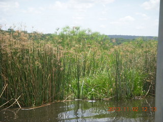 Uganda - Murcheson Falls National Park boat ride