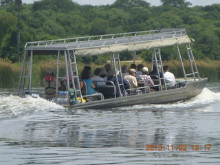 Uganda - Murcheson Falls National Park boat ride - bird in tree