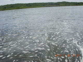 Uganda - Murcheson Falls National Park boat ride - fractal style water