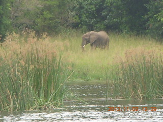 Uganda - Murcheson Falls National Park boat ride - other boat