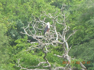 Uganda - Murcheson Falls National Park boat ride - fractal style water