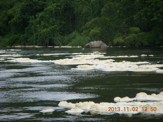 Uganda - Murcheson Falls National Park boat ride - elephant