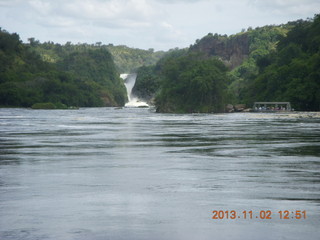 Uganda - Murcheson Falls National Park boat ride - eagle in tree