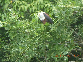 Uganda - Murcheson Falls National Park boat ride - Pamela taking Steve's picture