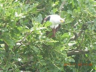 Uganda - Murcheson Falls National Park boat ride - Steve and Pamela