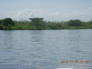 Uganda - Murcheson Falls National Park boat ride - eagle