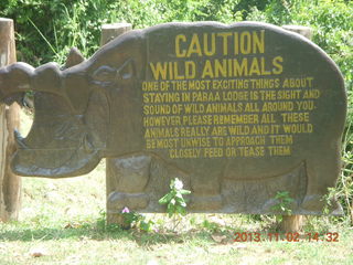 Uganda - Murcheson Falls National Park - musical band