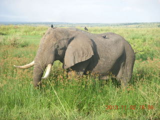 Uganda - Murcheson Falls National Park - Don J - Donald Liebenberg - the 1973 Concorde eclipse fellow