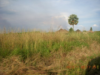 Uganda - bus ride back to Chobe Safari Resort - elephants