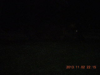 331 8f2. Uganda - Chobe Safari Resort - night picture of hippopotamus