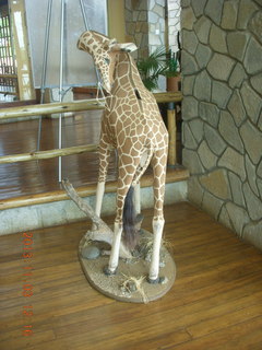 Uganda - Chobe Safari Lodge - giraffe mailbox