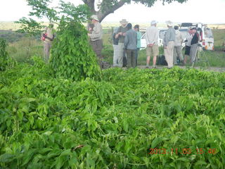 Uganda - eclipse site