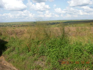 Uganda - eclipse site - ducks