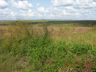 Uganda - eclipse site - corn cobs?