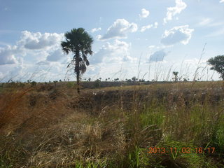 Uganda - eclipse site run