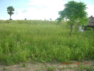 Uganda - eclipse site - duck