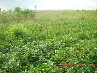 Uganda - eclipse site