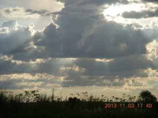 Uganda - eclipse site - goat