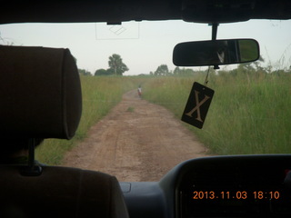 Uganda - eclipse site - the black cat (scurrying away)