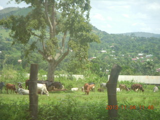 Uganda - drive to chimpanzee park - Deborah and Dave