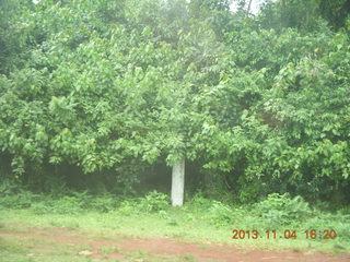 101 8f4. Uganda - drive to chimpanzee park