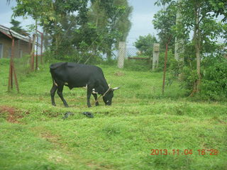 Uganda - drive to chimpanzee park - plastic Coke bottles