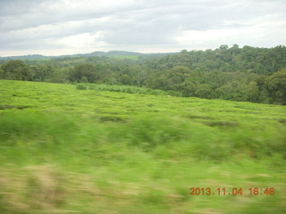 Uganda - drive to chimpanzee park