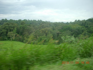 Uganda - drive to chimpanzee park