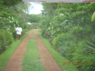 118 8f4. Uganda - farm resort - flowers