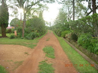 Uganda - farm resort - flowers