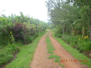 Uganda - farm resort