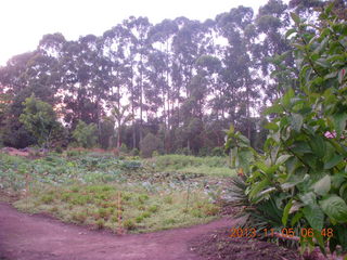 Uganda - farm resort - camp fire from last night