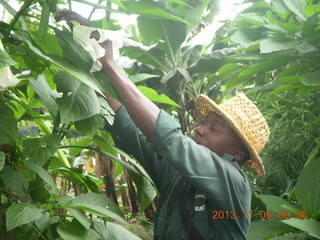 27 8f5. Uganda - farm resort - walk in the forest - our guide Robert